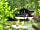 Warmwell Holiday Park: Park Setting