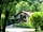 Moulin de Chaules: Welcome to the site (photo added by manager on 05/01/2015)