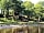 Loch Awe Camping Pods: View of the pods from shore (photo added by manager on 24/03/2021)