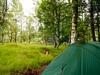 Lote para tenda de grama e terra sem eletricidade (bosque)
