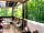 Morelands Copse Camping: Woodland covered lounge area