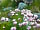 Campbiggle: Plenty of flowers colour the island in springtime