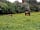 Larkhill Cottage Camping and Caravan Site