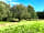 Five Wyches Farm Camping: Non-electric grass pitch (photo added by manager on 29/11/2023)
