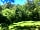Yomer Wood Camping: Lovely light pitch.