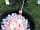 Mandale Campsite