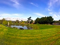 By a pond By a pond