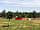 Small Trees Campsite: Cars allowed to pitch