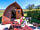 Humble Bee Farm: Outside space
