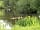 Watermill Leisure Park: Beautiful site, nature lovers paradise. Ducks enjoying the pond.