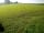 Stretton House Popup Wild Campsite