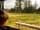 Stable View Caravan and Camping