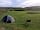 Isle Of Iona Campsite: Milo, a friendly guest