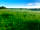 South Devon Wild Camping: The camping field (photo added by manager on 08/06/2021)