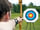 Whitecliff Bay Holiday Park: Activities for the whole family to enjoy