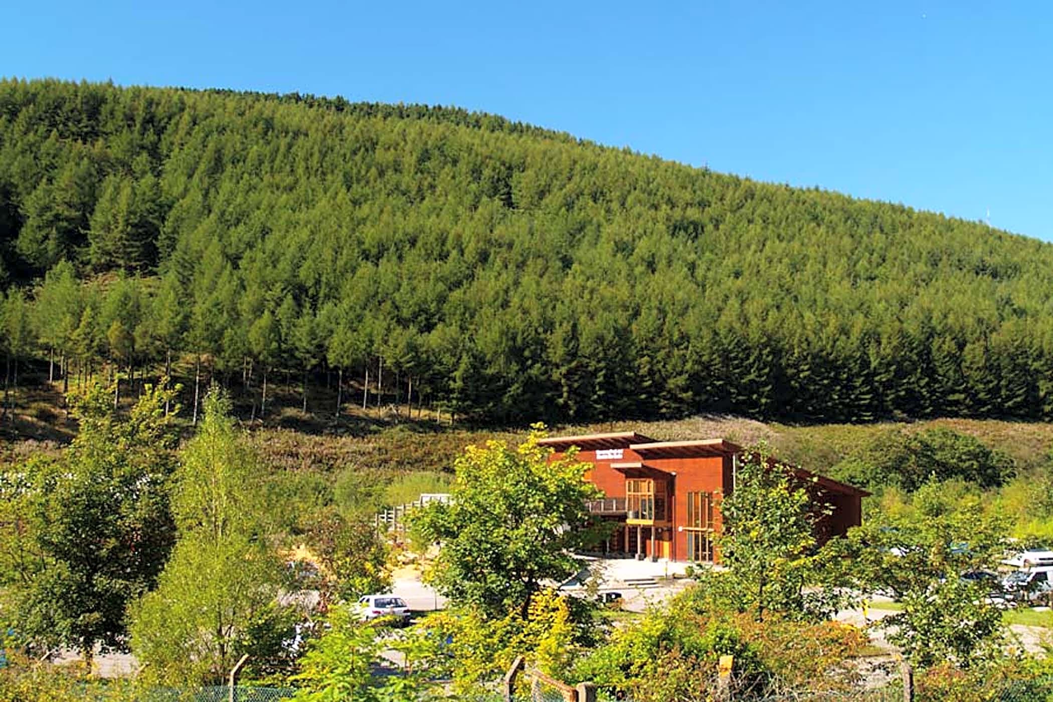 Glyncorrwg Ponds, Port Talbot Pitchup®