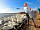 Higher Moor Farm Campsite: The Swannery is only a 10-minute drive from the campsite