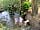 Long Acres Caravan and Camping Park: Stream with a tyre swing at the rear of the site.