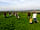 Aylesmore Farm Campsite: Walks around the site (photo added by manager on 11/05/2022)