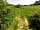 Rowbury Farm Camping: One of the country tracks