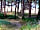 Camping Les Hortensias: The coast near to the campground (photo added by  on 27/06/2023)