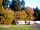 Forest Glade Holiday Park: Trees around the pitches