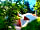 The Dome Garden: Sandstone approach
