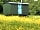 Hamstead Huts: Shepherd's hut in a wildlfower meadow (photo added by manager on 23/05/2022)