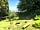 The Teasel Yurts: Firepit (photo added by manager on 11/01/2021)