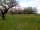 Bardwell Manor Equestrian Centre: View of the orchard from the site