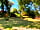 Loch Awe Camping Pods: Sunny day at the pods (photo added by manager on 11/08/2022)