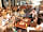 Doniford Bay Holiday Park: Cafebar