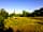 Chittlesford Mill Farm Camping: Spacious pitches