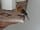 Dunn Street Farm: Even the wildlife greets you
