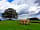 Ash Keys Caravan Park: Friendly Jersey cows