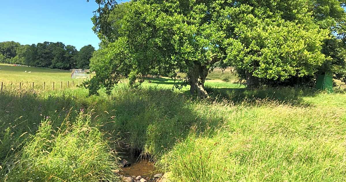 The Boe Rigg, Hexham - Updated 2024 prices | Pitchup.com