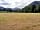 Newlands Valley Campsite
