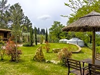 Garden Garden