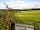 Ashcroft Farm: Dog exercise area