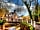 Bridge Inn Camping Site: Michaelchurch Escley
