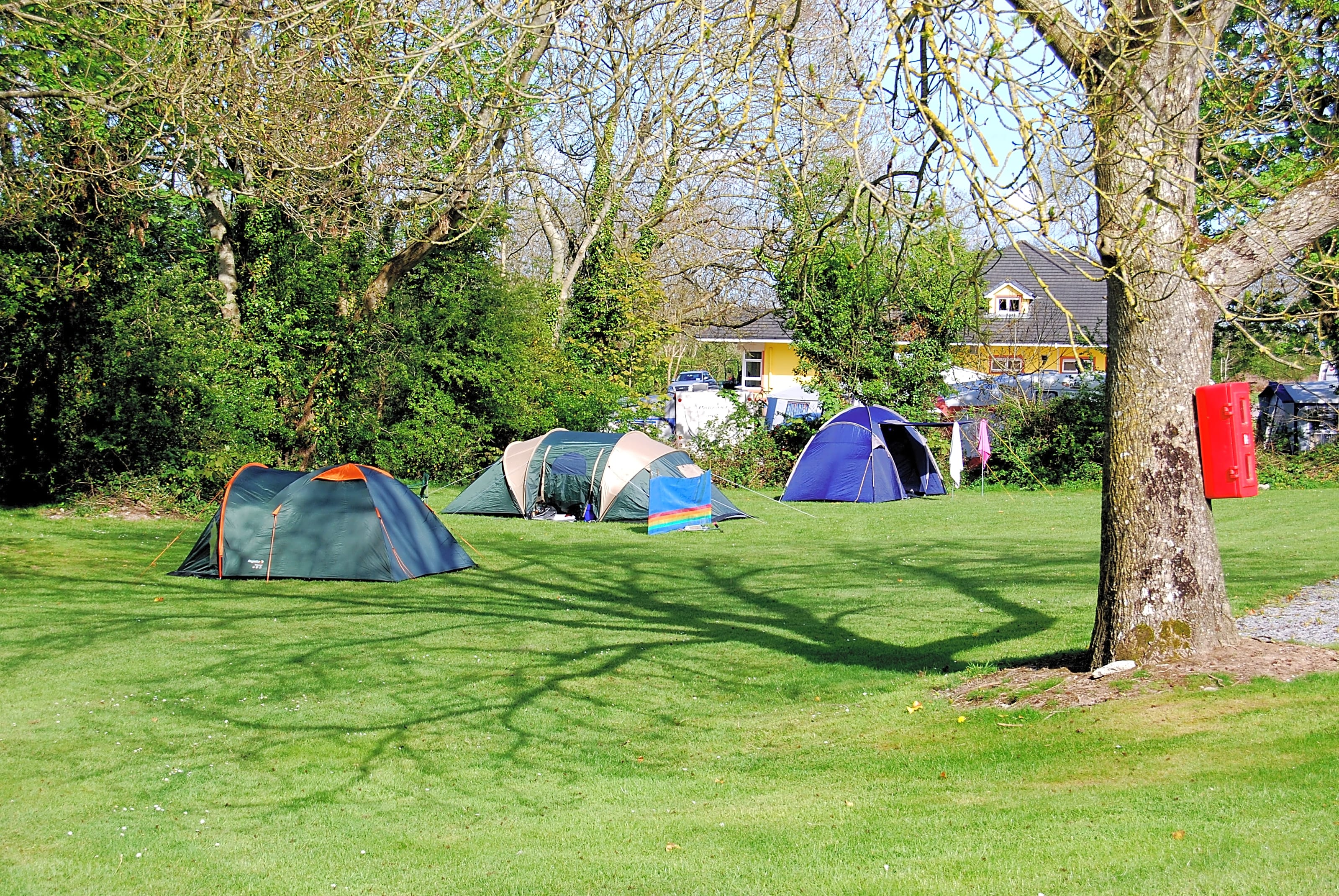 Woodlands caravan new arrivals park
