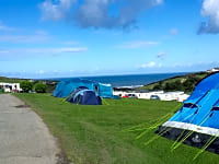 Op gras staplaats voor een tent , met elektriciteit (groot)