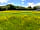 Rake Meadows