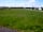 Broadleigh Farm Park: Plenty of space to run around