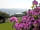 Auchenlarie Holiday Park: Scenery around the park