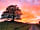 Ash Keys Caravan Park: Late August sunset