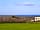 Seagull Tourist Park: Level grass pitches