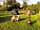 Ettie's Field