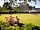 Camp Dartington: Kick back in the Dartington Gardens