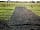 The Mile Caravan Park: Facing the allotments